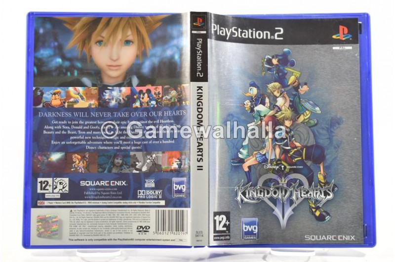 Kingdom hearts online ps2